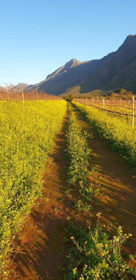 Sonklip Hotel Stellenbosch Bagian luar foto