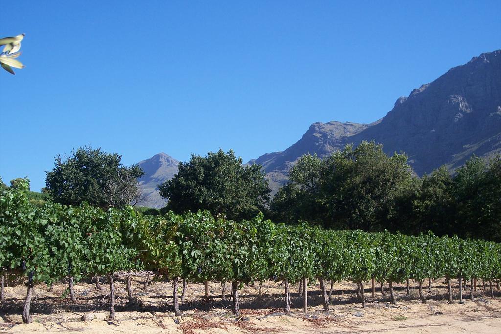 Sonklip Hotel Stellenbosch Bagian luar foto