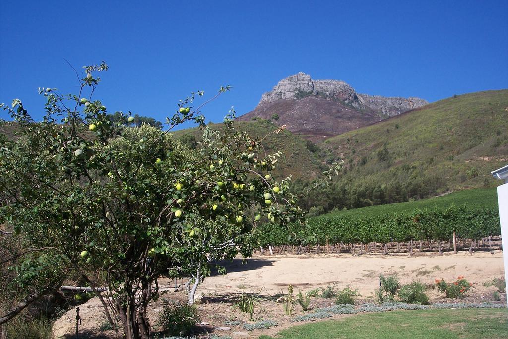 Sonklip Hotel Stellenbosch Bagian luar foto