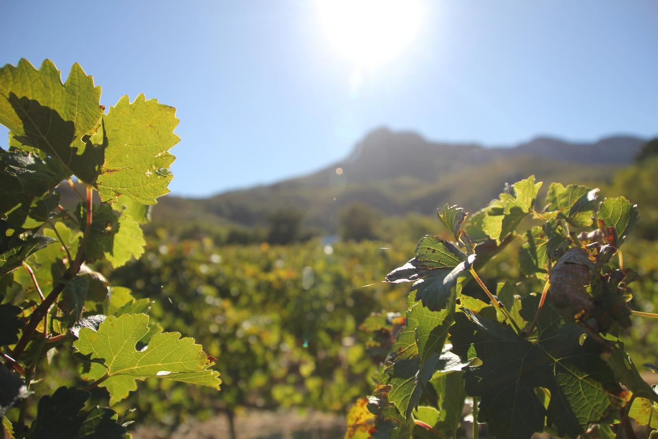 Sonklip Hotel Stellenbosch Bagian luar foto