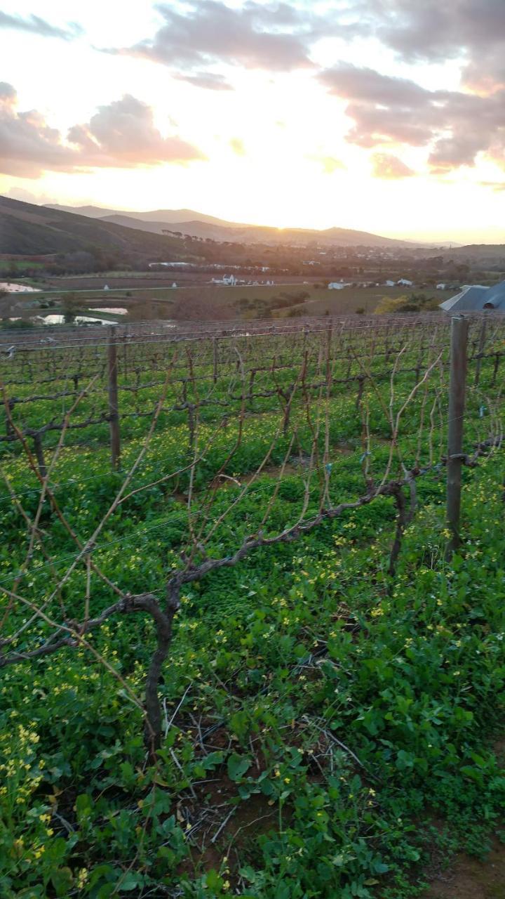 Sonklip Hotel Stellenbosch Bagian luar foto