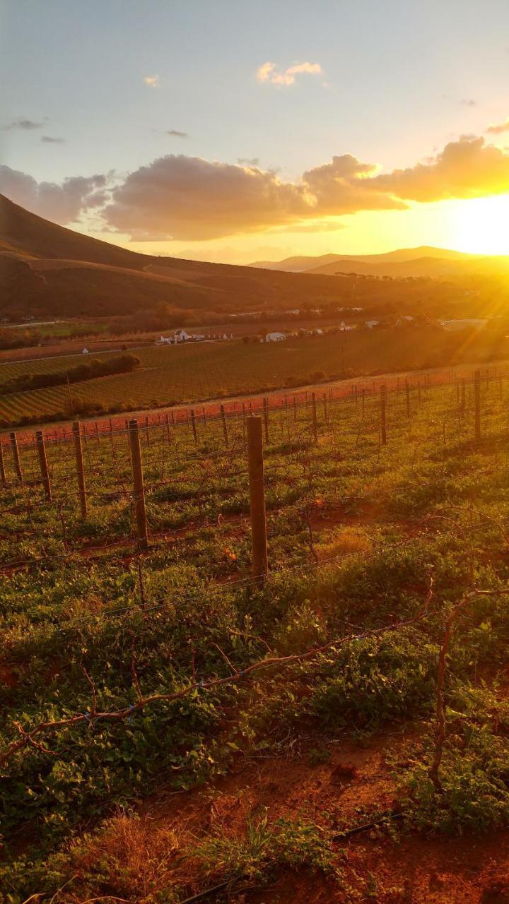 Sonklip Hotel Stellenbosch Bagian luar foto