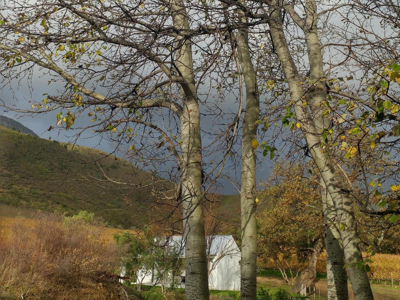 Sonklip Hotel Stellenbosch Bagian luar foto